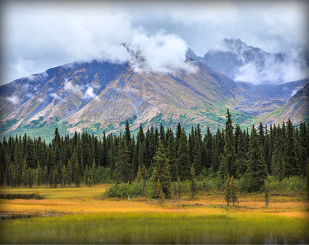Alaska Landscape